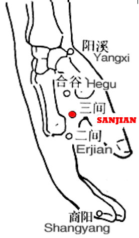 Sanjian-LI3
