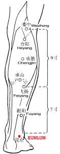 The lateral mallelous is shaped like a mountain. Kunlun, BL60 is located next to it.