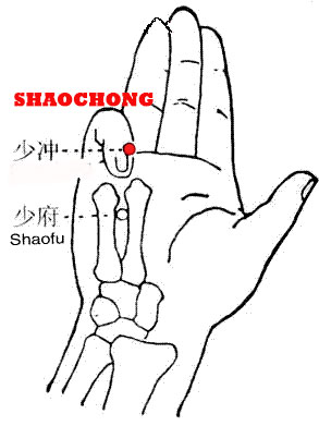 Shaochong-HT9