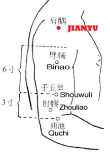 With the arm abducted and parallel to ground, Jianyu LI15 lies at the upper border of the deltoid muscle, in the inferior anterior depression of shoulder