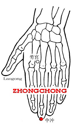 Zhongchong-PC9