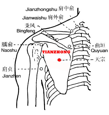 Tianzong-SI11