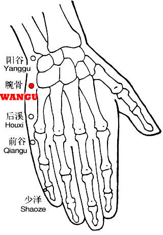Wangu-SI4