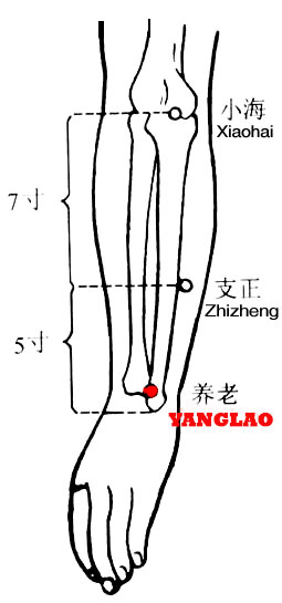 Yanglao-SI6