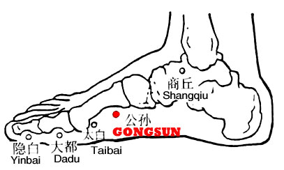 Gongsun-SP4