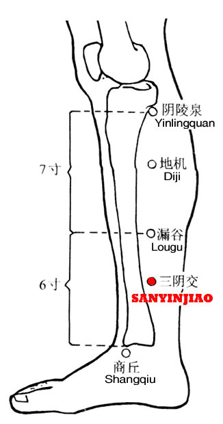 Sanyinjiao-SP6