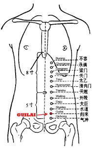 Guilai-ST29