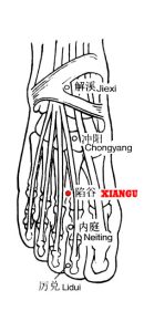 Gu refers to a depression on the body surface. Xiangu is in the depression between the second and third metatarsals.