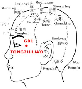 Tongziliao-GB1