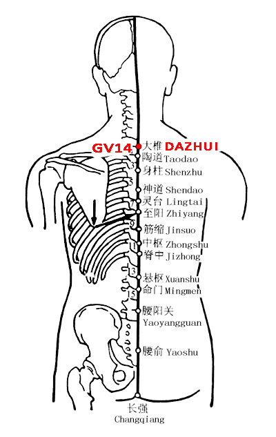 Dazhui-GV14