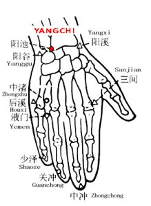 Yangchi-TE4