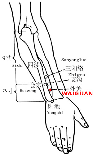 Waiguan-TE5