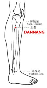 Dannangxue-EX-LE6