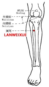 Lanweixue-EX-LE7