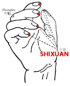 Shixuan-EX-UE11