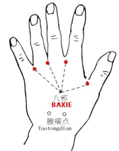 Baxie EX-UE9