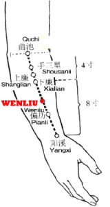 Wenliu-LI7