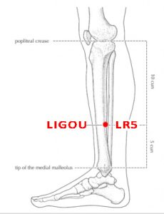 Ligou-LR5