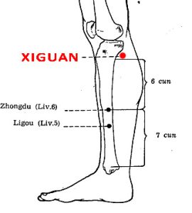 Xiguan-LR7