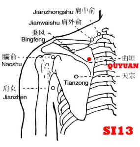 Quyuan-SI13