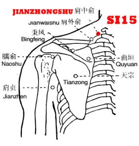 Jianzhongshu-SI15