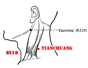 Tianchuang-SI16