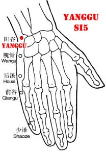 Yanggu-SI5