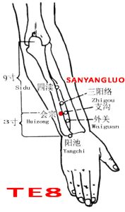 Sanyangluo-TE8