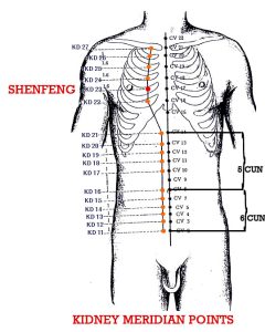 Shenfeng-KI23