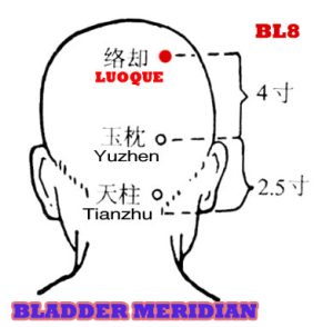 The collateral of the bladder meridian returns to the body surface from luoque after linking with the brain.