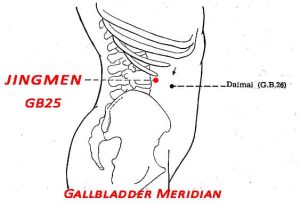 Jingmen is a Mu-front point of the kidney meridian which dominates the primary Qi of the body in general. Jingmen is like  the door through which the Qi of the kidney enters and exits.