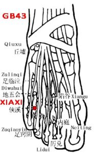 Xiaxi lies on the dorsum of foot, between the fourth and fifth toe, proximal to the margin of the web, at the junction of the red and white skin.