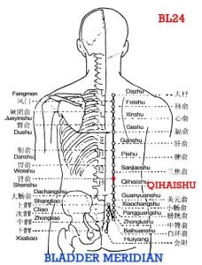 Qihaishu is opposite to Qihai (CV6), where the primary Qi is infused into the back.