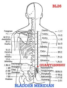 Guanyuanshu is opposite to Guanyuan (CV4), where the stored Qi of primary Yin and Yang is infused into the back.