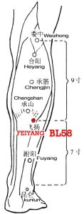 Feiyang, BL58 is a luo-connecting point on the lateral aspect of leg and the collateral of this meridian flies out from this point to the kidney meridian.