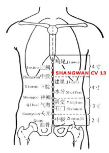 Shangwan-CV13