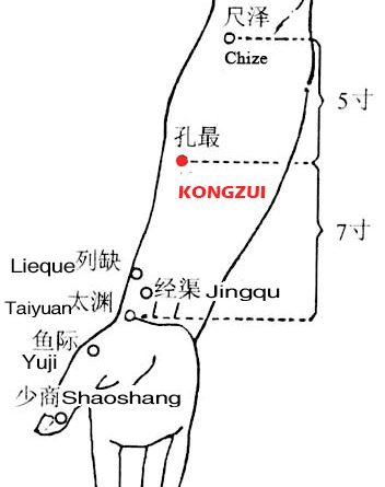 Kongzui-LU6
