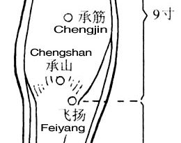 Weizhong is at the midpoint of the transverse crease of the popliteal fossa.