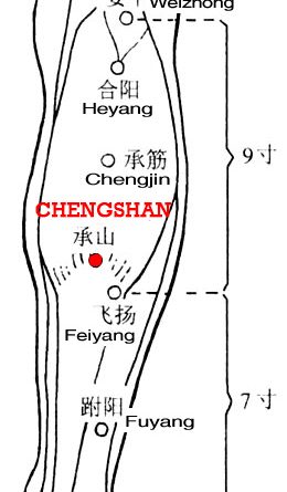 The two bellies of the gastrocnemius muscle are so prominent as a mountain, chengshan, BL57 is below them, as sustaining the mountain.
