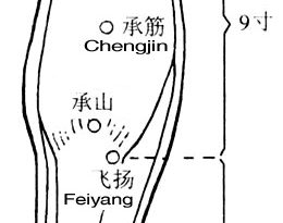 The lateral mallelous is shaped like a mountain. Kunlun, BL60 is located next to it.