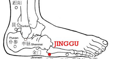Jinggu is an ancient name for the tuberosity of the 5th metatarsal and the point is on the lateral aspect of the tuberosity of the 5th metatarsal.