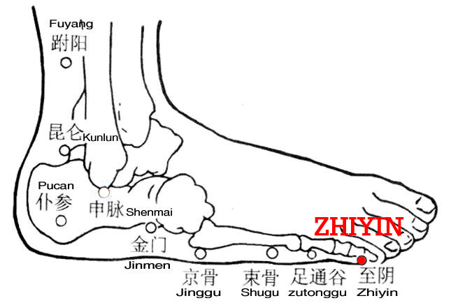 Yin refers to the foot-shaoyin meridian. Zhiyin, BL67 is the end point of the bladder meridian of Foot-Taiyang. From here it reaches to the foot-shaoyin meridian.