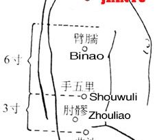 With the arm abducted and parallel to ground, Jianyu LI15 lies at the upper border of the deltoid muscle, in the inferior anterior depression of shoulder