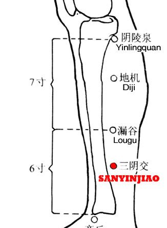 Sanyinjiao-SP6