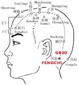 Fengchi GB20 : Nomenclature, Location, Function, Indication, Method -  Acupuncture Nepal