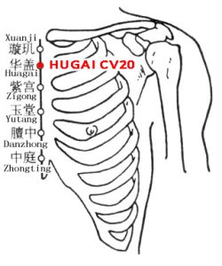 Huagai-CV20